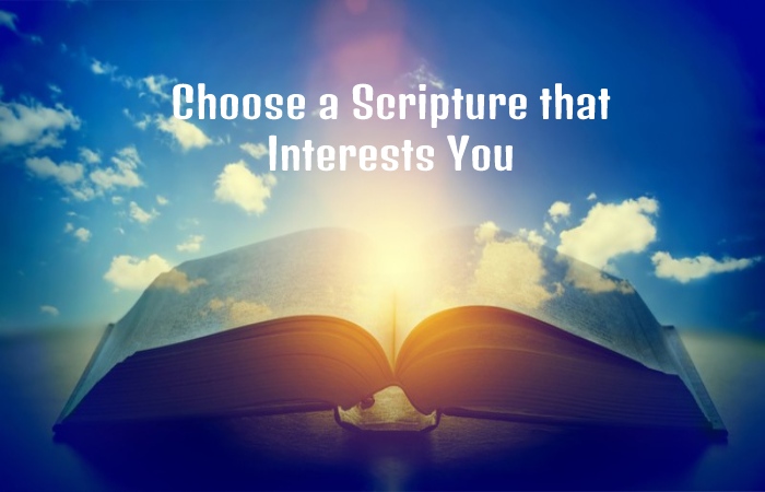 Choose a Scripture that Interests You