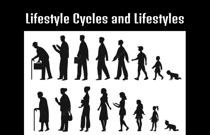Lifestyle Cycles and Lifestyles