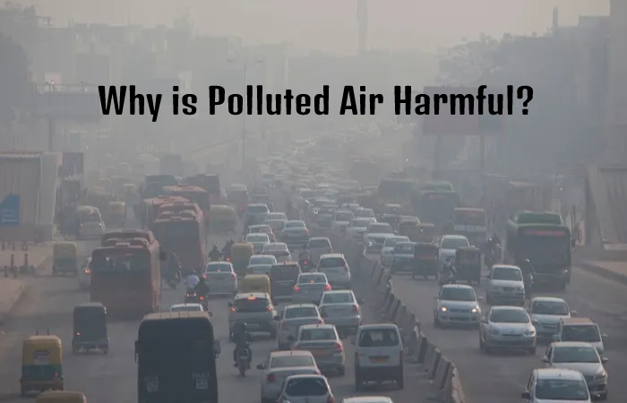 Why is Polluted Air Harmful_